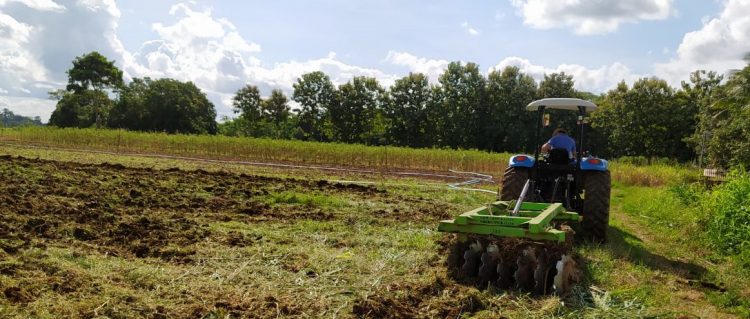 Agricultura familiar: Prefeitura de Jaru beneficia produtores rurais com o programa Terra Tombada