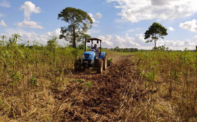 Agricultura familiar: Prefeitura de Jaru beneficia produtores rurais com o programa Terra Tombada
