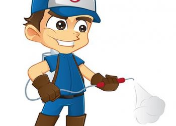 PREGÃO ELETRÔNICO N° 050/PMJ/2020