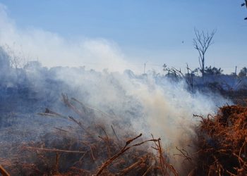 Queimadas: A falta de consciência de alguns, pode colocar em risco a vida de muitos. Não faça queimadas, alerta prefeitura de Jaru