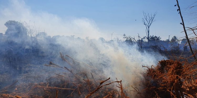 Queimadas: A falta de consciência de alguns, pode colocar em risco a vida de muitos. Não faça queimadas, alerta prefeitura de Jaru