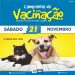 Secretaria de Saúde de Jaru realizará campanha de vacinação antirrábica para cães e gatos no próximo dia 21 de novembro