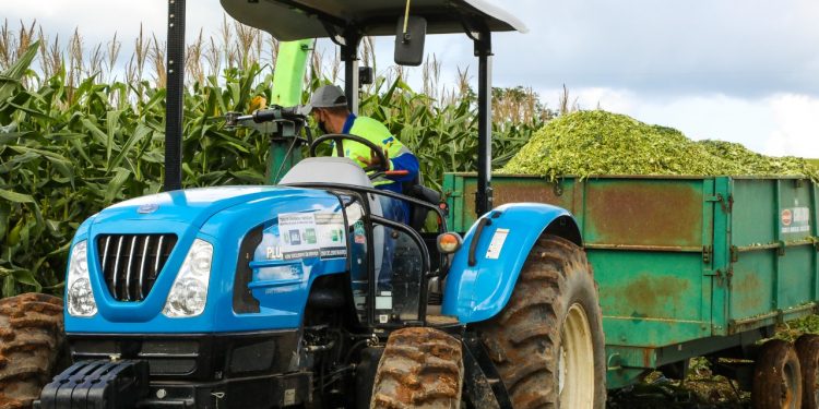 Agricultura familiar mais forte! Prefeitura de Jaru oferece suporte para produção de silagem na Linha Nova