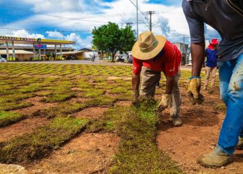 Prefeitura de Jaru segue com serviço de jardinagem e urbanização em canteiros da BR 364