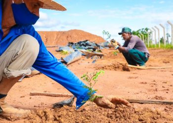 Prefeitura de Jaru realiza plantio de mudas no aterro sanitário