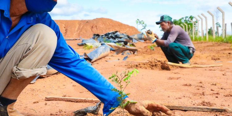 Prefeitura de Jaru realiza plantio de mudas no aterro sanitário