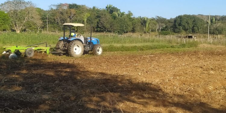 Chacareiros são contemplados com serviço de mecanização do solo; ação é realizada pela prefeitura de Jaru