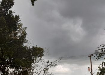 Previsão do Tempo 19/11