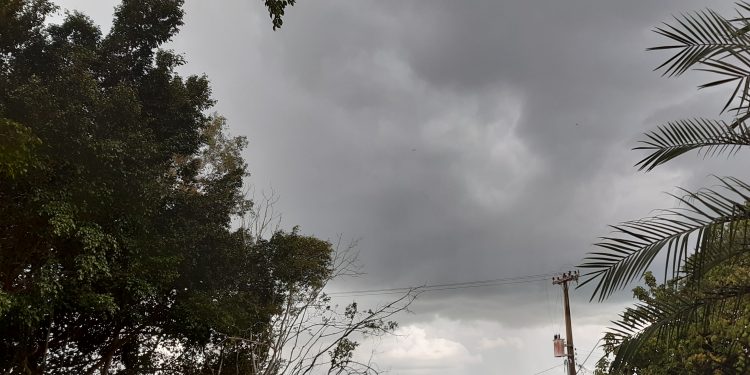 Previsão do Tempo 19/11