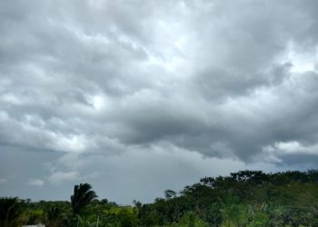 Boletim Meteorológico 10/11