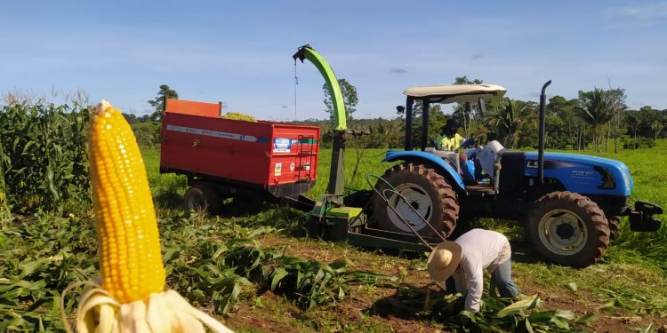 Produtores da Linha Nova recebem apoio da prefeitura de Jaru para a produção de silagem