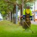 Prefeitura de Jaru realiza manutenção em canteiros da avenida Dom Pedro I