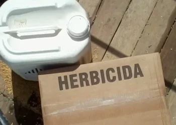 PREGÃO ELETRÔNICO Nº 027/PMJ/2022