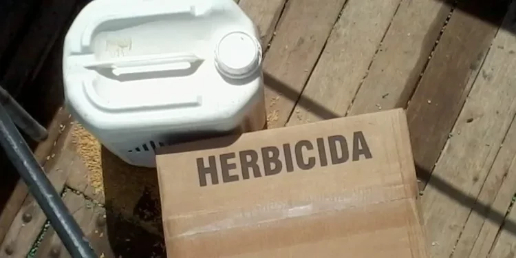 PREGÃO ELETRÔNICO Nº 027/PMJ/2022