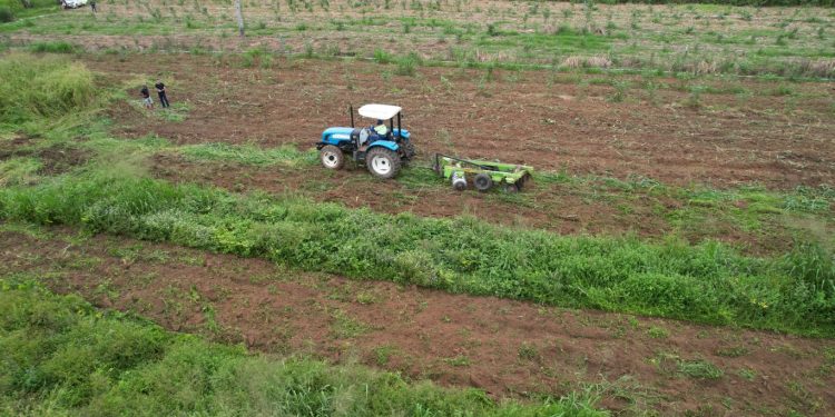 Prefeitura de Jaru beneficia produtores rurais com mecanização de solo para plantio de quiabo