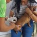 Prefeitura de Jaru divulga dados de vacinação antirrábica