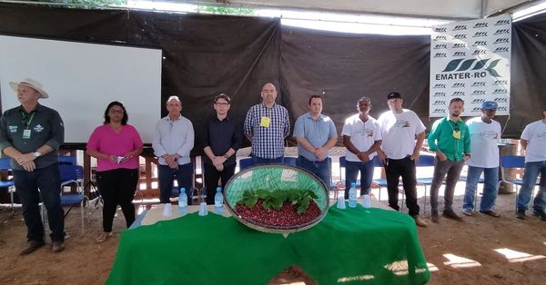 Dia de campo apresenta potencialidades da produção do Café Clonal em Jaru