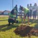 Semeagro promove várias ações educativas em alusão a semana do meio ambiente