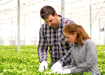 PREGÃO ELETRÔNICO Nº 136/PMJ/2022