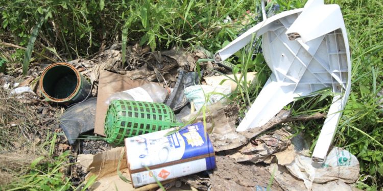 Em Jaru proprietários de quintais com potenciais criadouros do mosquito da Dengue poderão ser notificados e multados