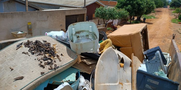 Limpeza do quintal é essencial para evitar a proliferação do mosquito transmissor; alerta prefeitura de Jaru