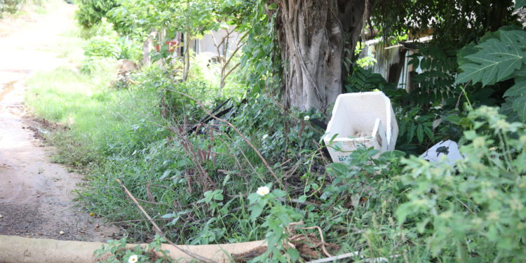 Agentes de saúde de endemias realizam visitas domiciliares e orientam moradores sobre a importância da limpeza dos quintais no combate à Dengue