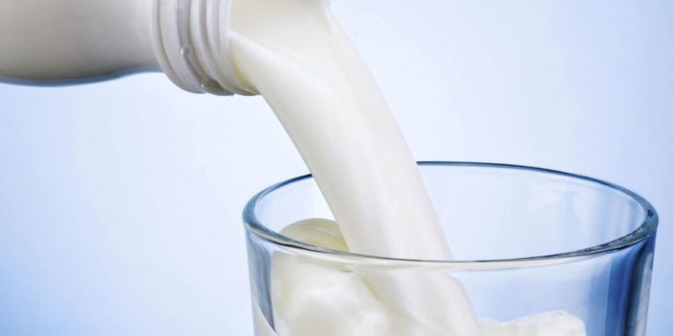 Secretaria de educação de Jaru abre chamamento público para aquisição de leite da agricultura familiar