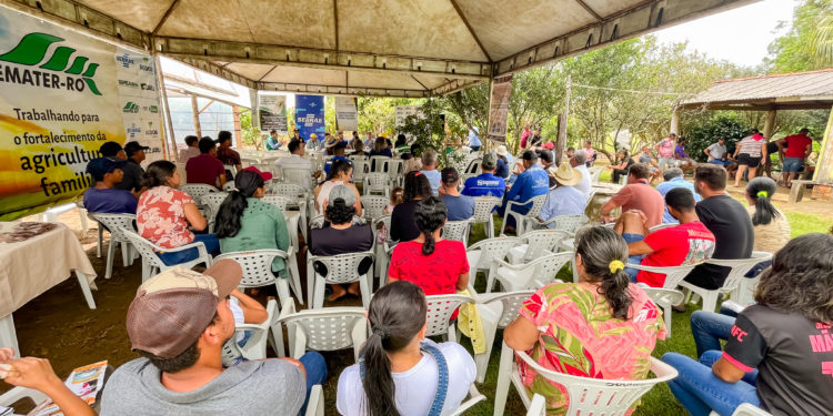 Dia de Campo apresenta Cacau como alternativa para recuperação de área degradadas