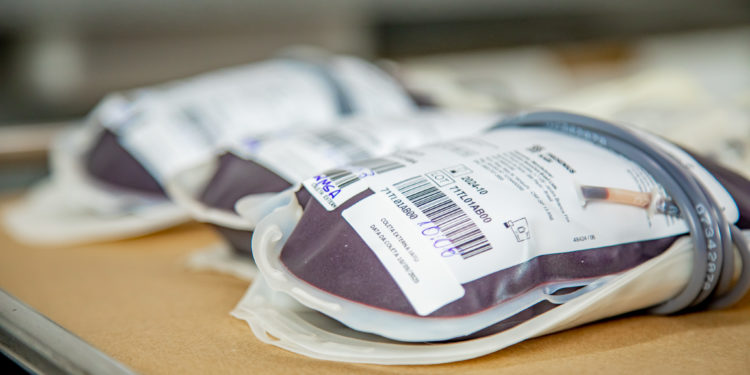 Campanha Jaru Salvando Vidas coletou quase 200 bolsas de sangue