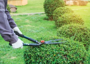 PREGÃO ELETRÔNICO Nº 051/PMJ/2023