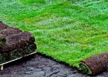 PREGÃO ELETRÔNICO Nº 008/PMJ/2024