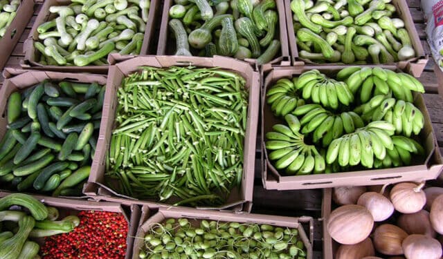 Prefeitura de Jaru abre credenciamento para seleção de feirantes interessados em comercializarem no novo Feirão do Produtor Rural