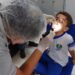 Aprender com saúde: Prefeitura leva atendimento médico e odontológico a alunos da escola Maria do Socorro e Tânia Barreto