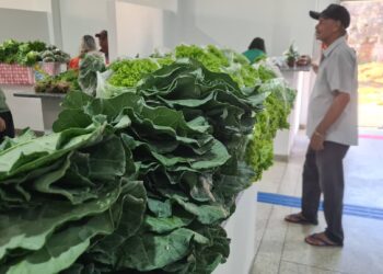 Inaugurado! Funcionamento do Feirão do Produtor Rural em Jaru será todas as quartas das 17h às 21h e aos sábados das 12h às 21h