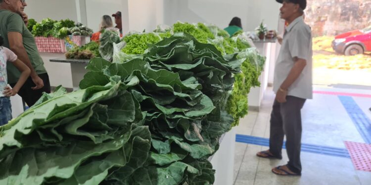 Inaugurado! Funcionamento do Feirão do Produtor Rural em Jaru será todas as quartas das 17h às 21h e aos sábados das 12h às 21h