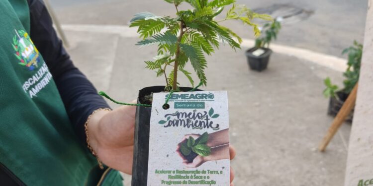 Prefeitura de Jaru realiza atividades em alusão a Semana do Meio Ambiente