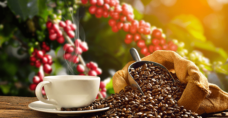 PREGÃO ELETRÔNICO Nº 095/PMJ/2024