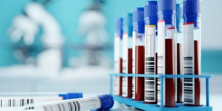 PREGÃO ELETRÔNICO Nº 145/PMJ/2024