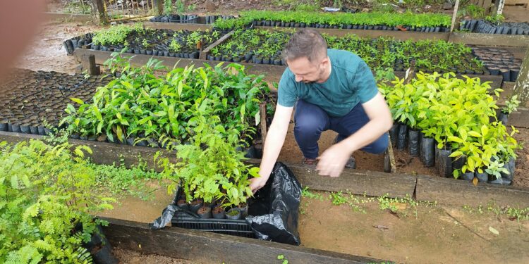 Ações da Secretaria de Meio Ambiente e Agronegócio de Jaru contribuem para o processo de arborização no município; mais de 4.500 mudas arbóreas foram distribuídas em 2024