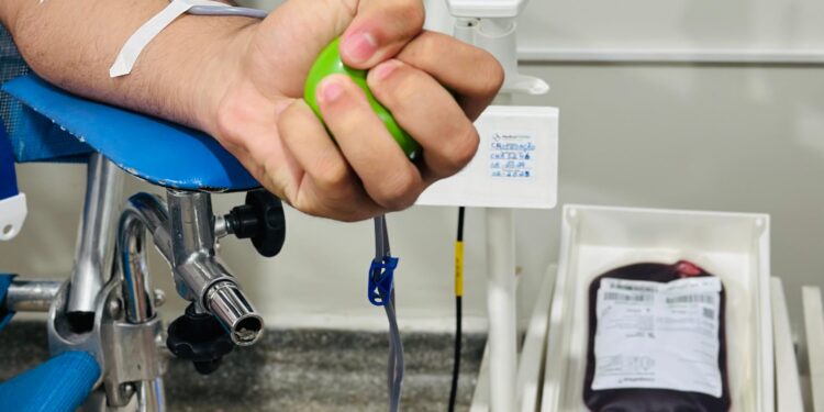 “Jaru Salvando Vidas”: campanha de doação de sangue envia quase 310 bolsas para os estoques da Fhemeron