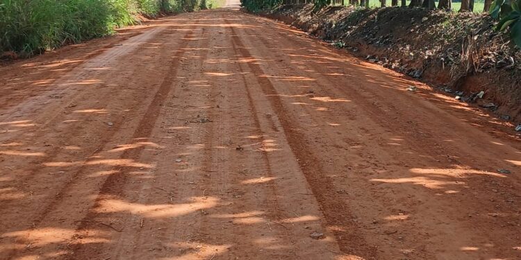 Jaru: Serviços de patrolamento de estradas rurais chegam à Linha 617