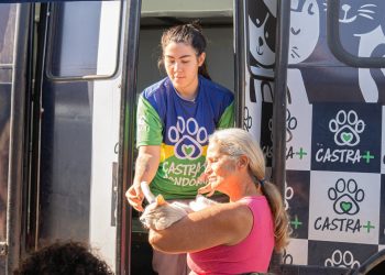 Atendimentos do programa “Castra Mais Rondônia” começam a ser realizados em Jaru; mais de 900 animais devem ser castrados até o dia 18 de junho