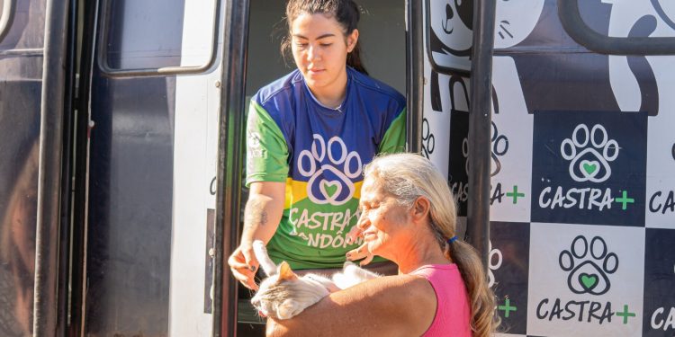 Atendimentos do programa “Castra Mais Rondônia” começam a ser realizados em Jaru; mais de 900 animais devem ser castrados até o dia 18 de junho