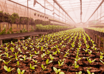 AVISO DE LICITAÇÃO CONCORRÊNCIA ELETRÔNICA N°014/PMJ/2025