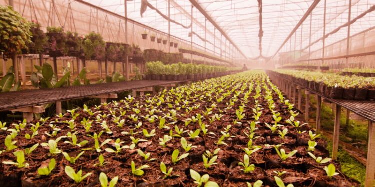 AVISO DE LICITAÇÃO CONCORRÊNCIA ELETRÔNICA N°014/PMJ/2025