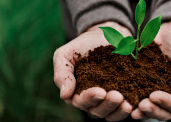 PREGÃO ELETRÔNICO N°072/PMJ/2025