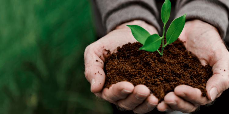 PREGÃO ELETRÔNICO N°072/PMJ/2025