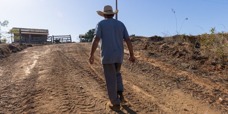 Caminho Rural: Programa criado pela Prefeitura de Jaru já beneficiou cerca de 240 produtores rurais desde o lançamento