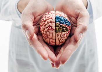 Prefeitura de Jaru abre processo seletivo para a contratação de neuropiscólogo