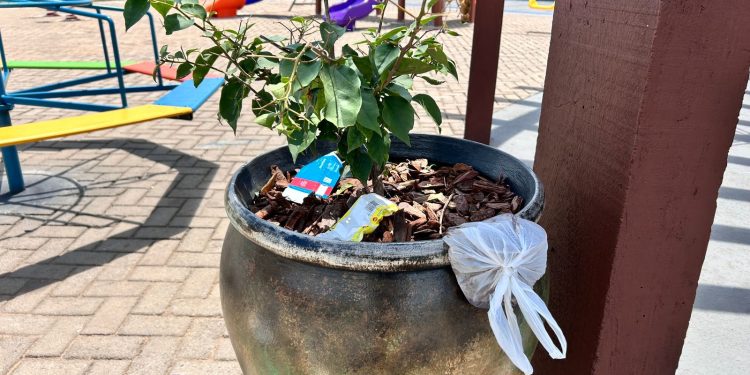 Lugar de lixo é no lixo: Prefeitura de Jaru reforça a importância da preservação dos espaços públicos